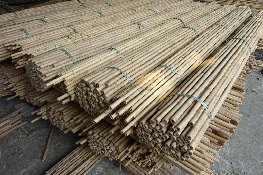 Tonkin Bambusstangen vor der Verschiffung CONBAM Bambushandel Webshop