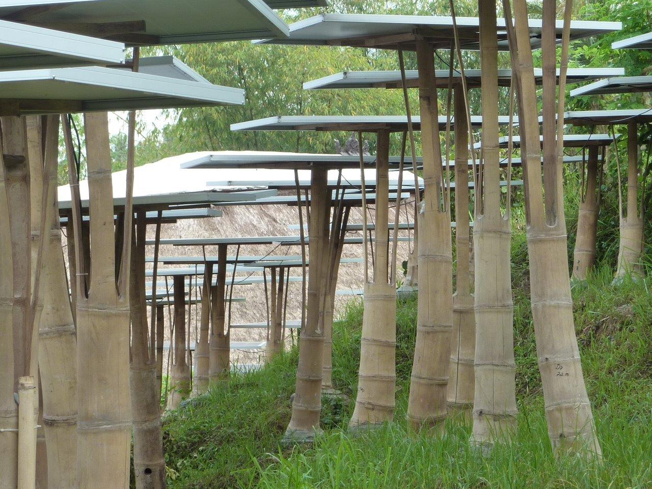 Bambus-Tragkonstruktion für Solarpanles aus Bambusstangen CONBAM