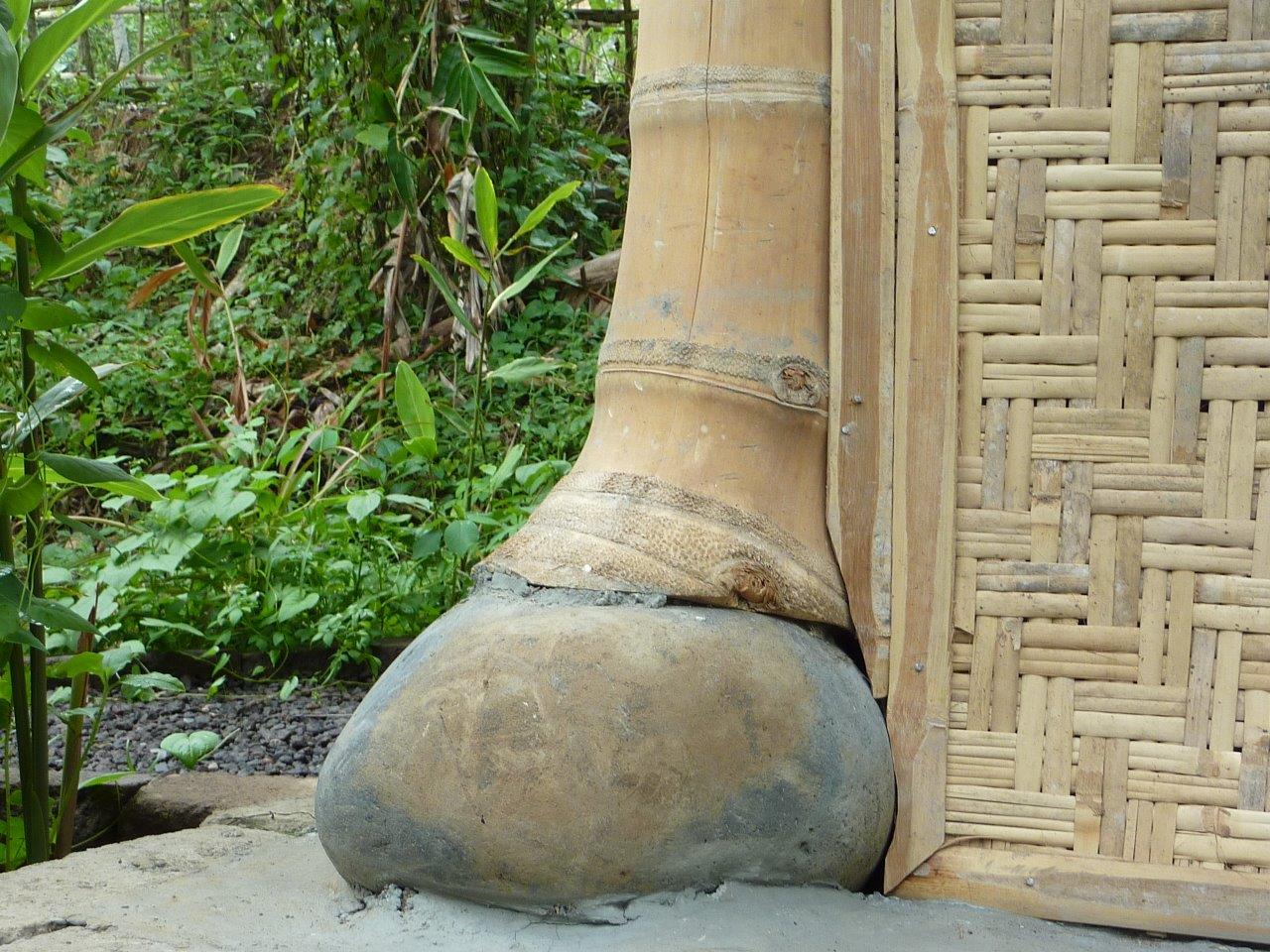 Bambusstab als Stütze Fußpunkt CONBAM Bambusrohre