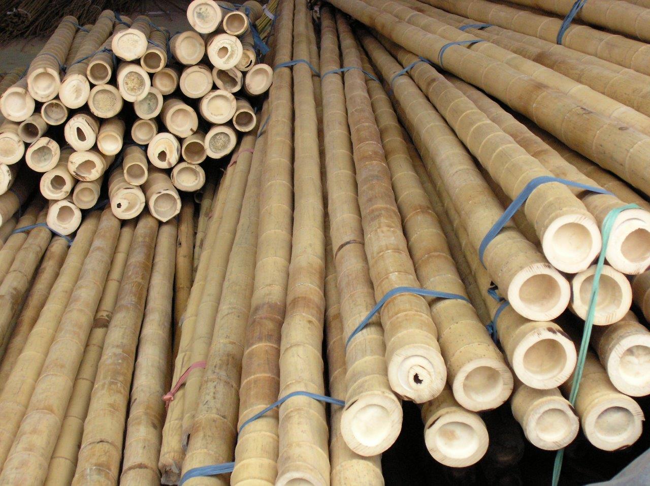 Bambusstangen bei CONBAM günstig kaufen