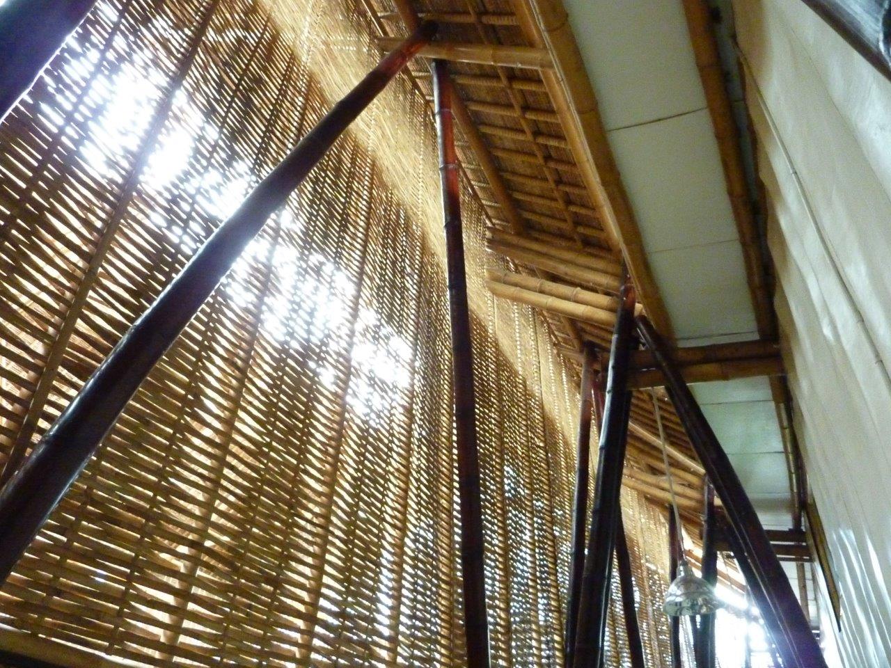 Bambusstützen Riesenbambus Petung CONBAM