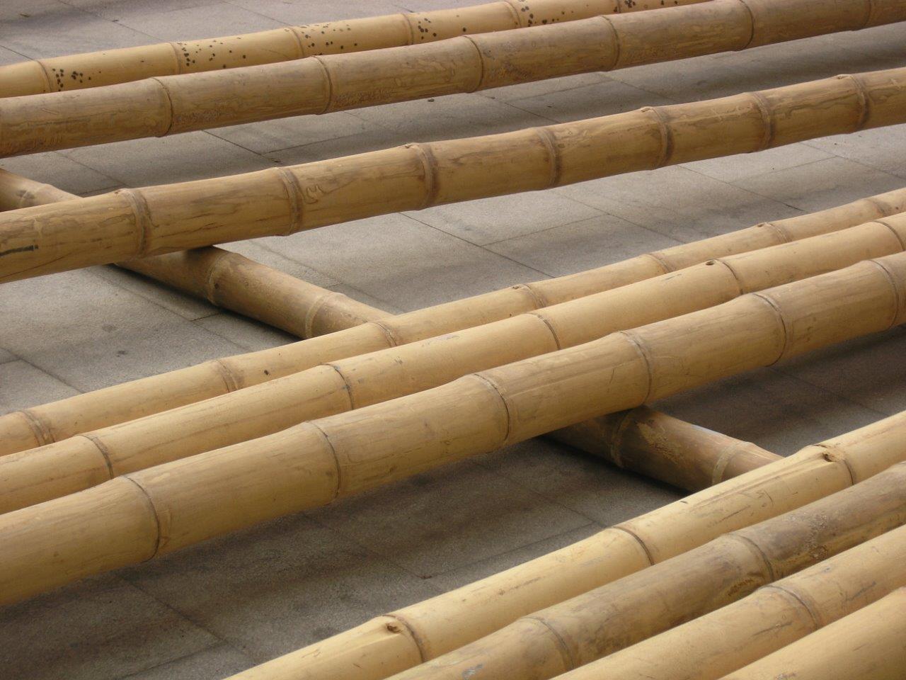 Guadua Bambusstangen von CONBAM