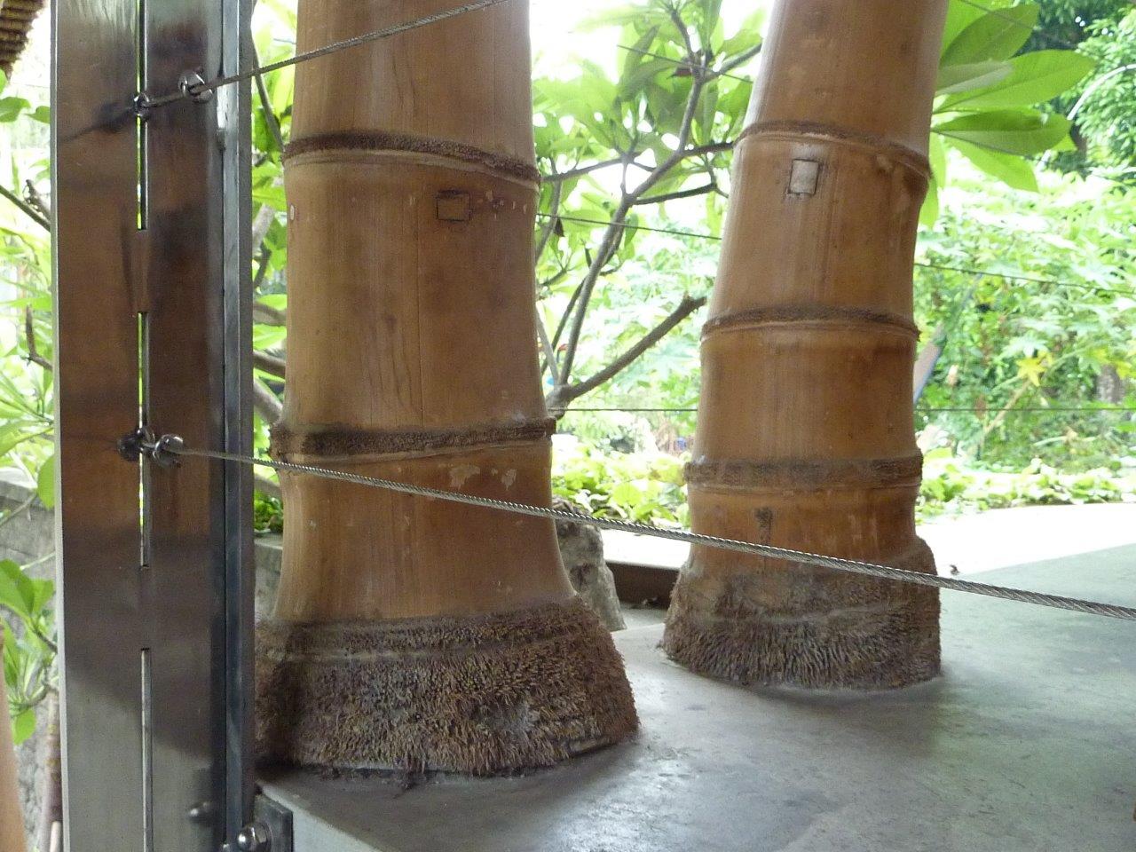 Riesenbambus Petung Stützenanschluss Bambusrohr CONBAM