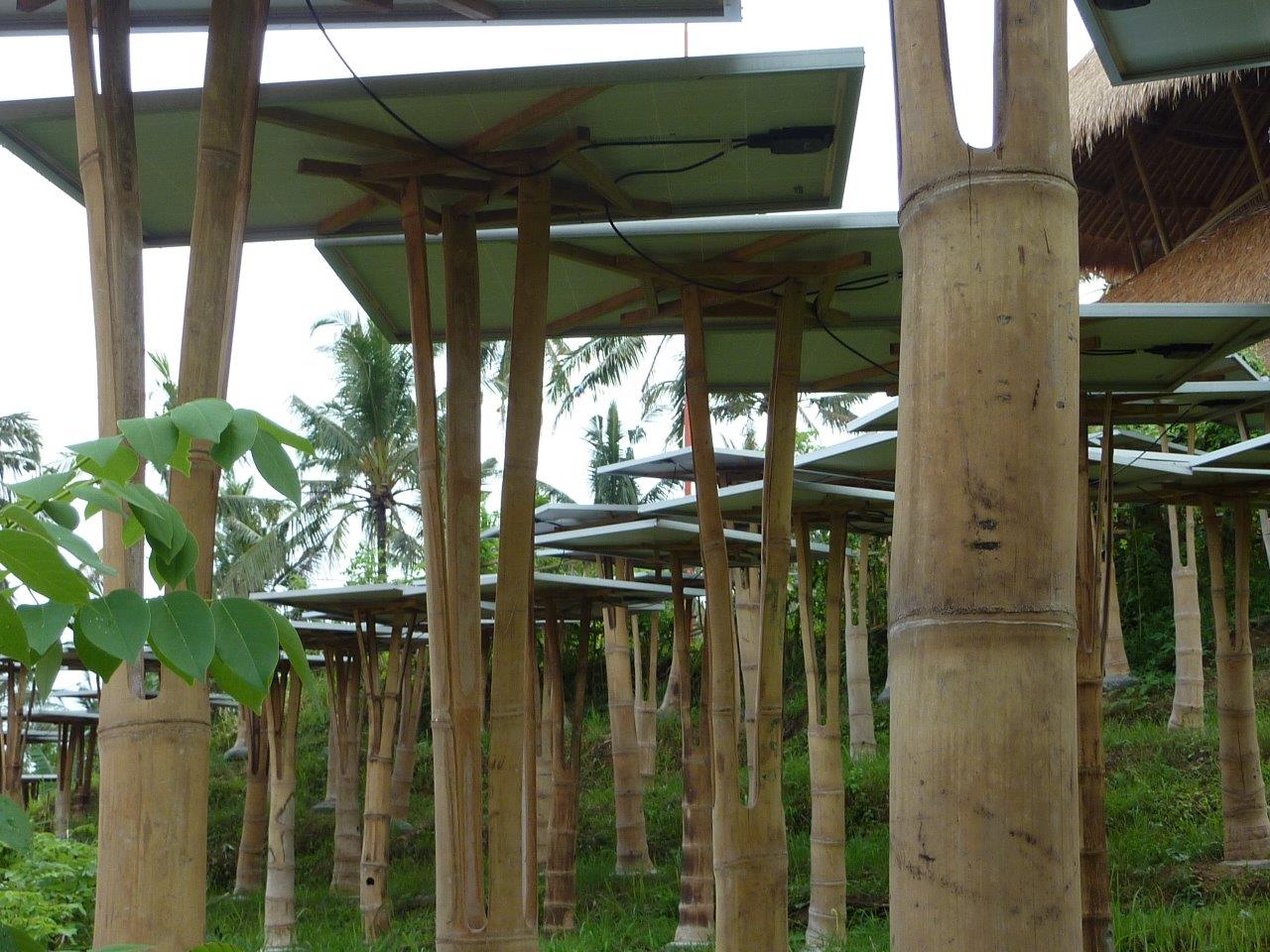 Solar-Module mit Bambuskonstruktion CONBAM