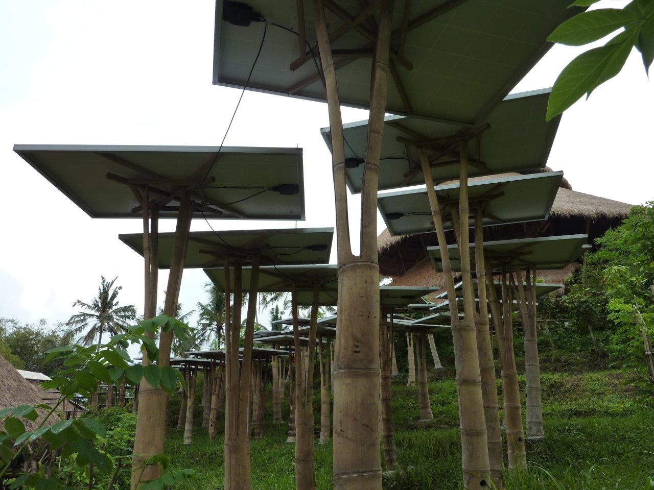 Solarzellen auf Bambusstützen CONBAM Bambushandel