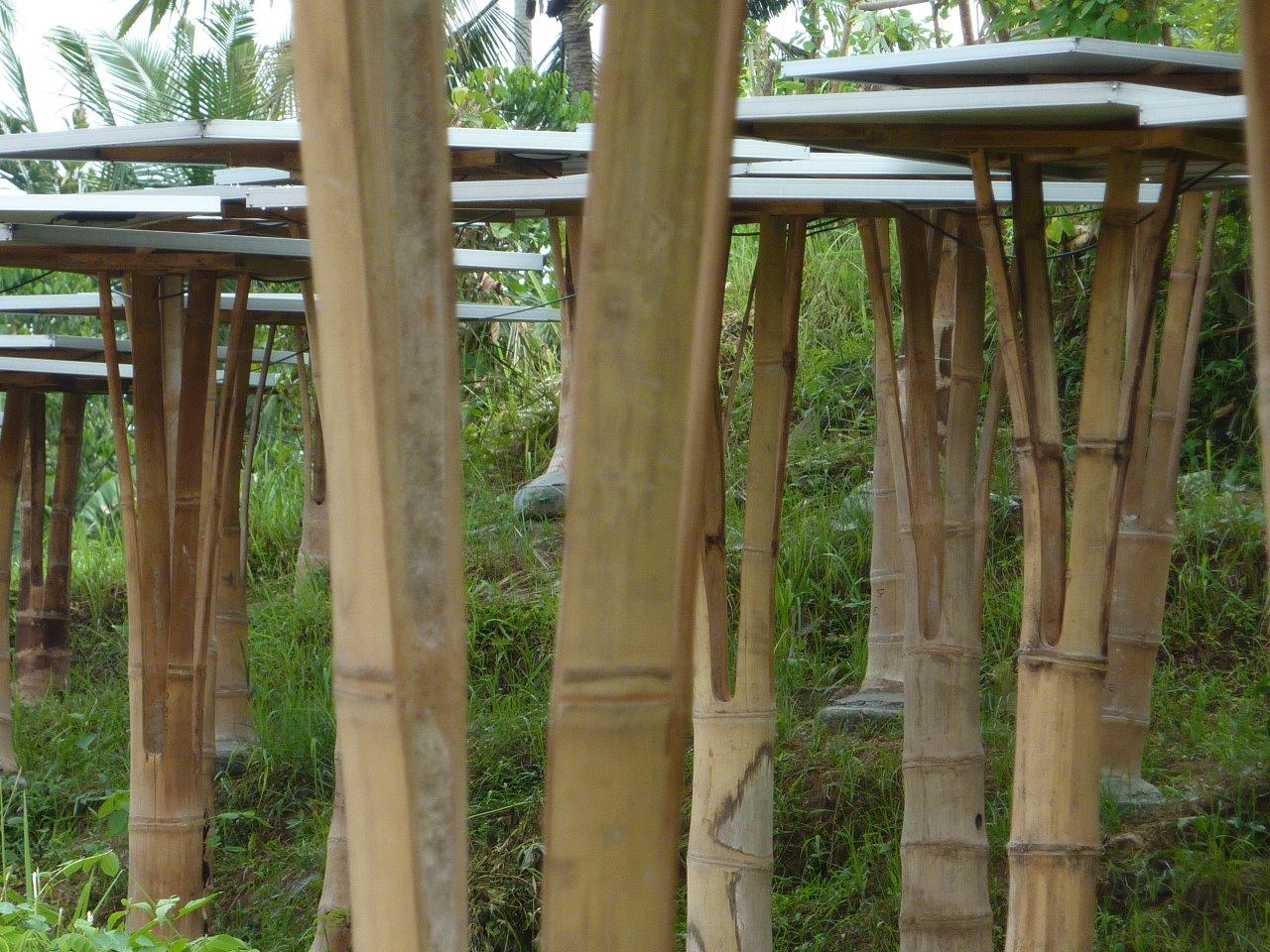 Unterkonstruktion aus Bambus für Photovoltaik CONBAM
