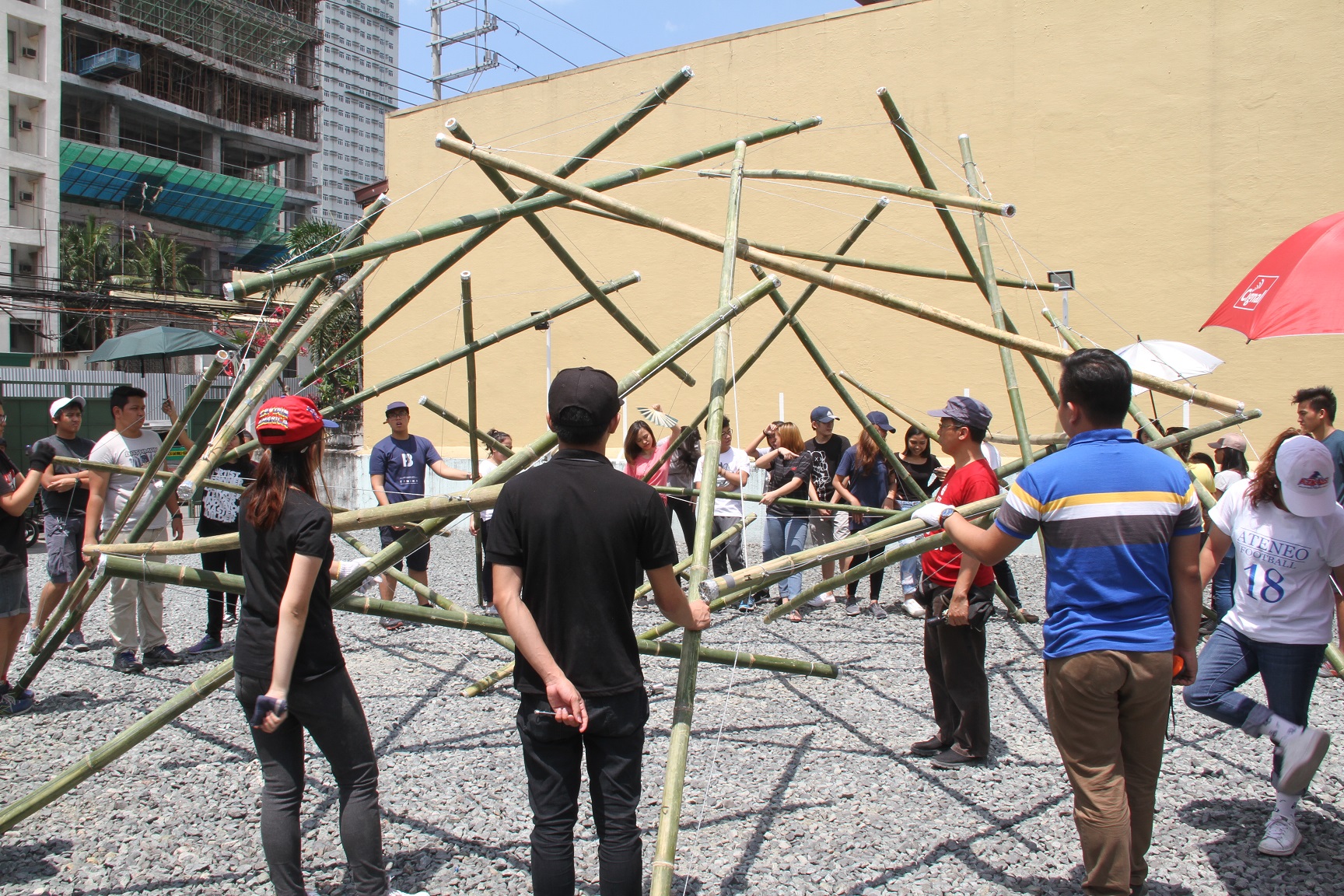 tensegrity bamboo construction.JPG