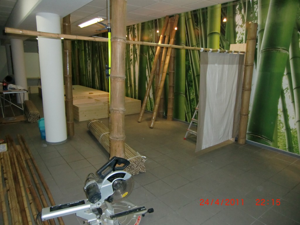 Verabreitung von Bambus - grüne Bambusrohre als Fototapete _ Bambus von CONBAM