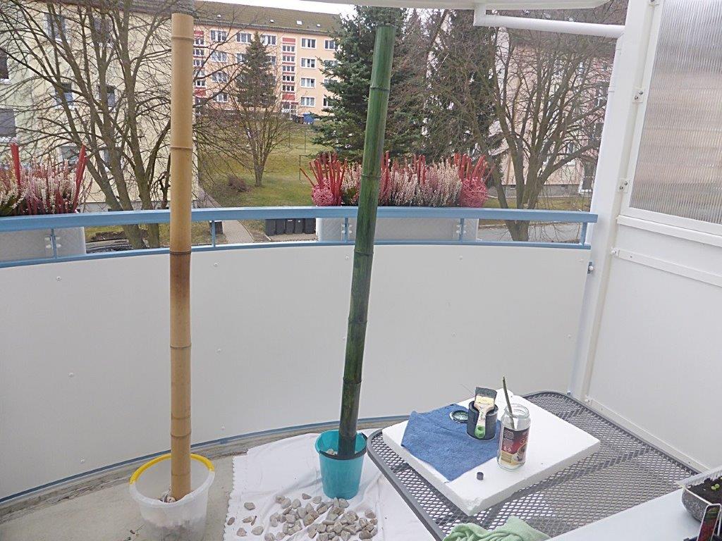 Bambusrohr grün streichen und färben mit Lasur