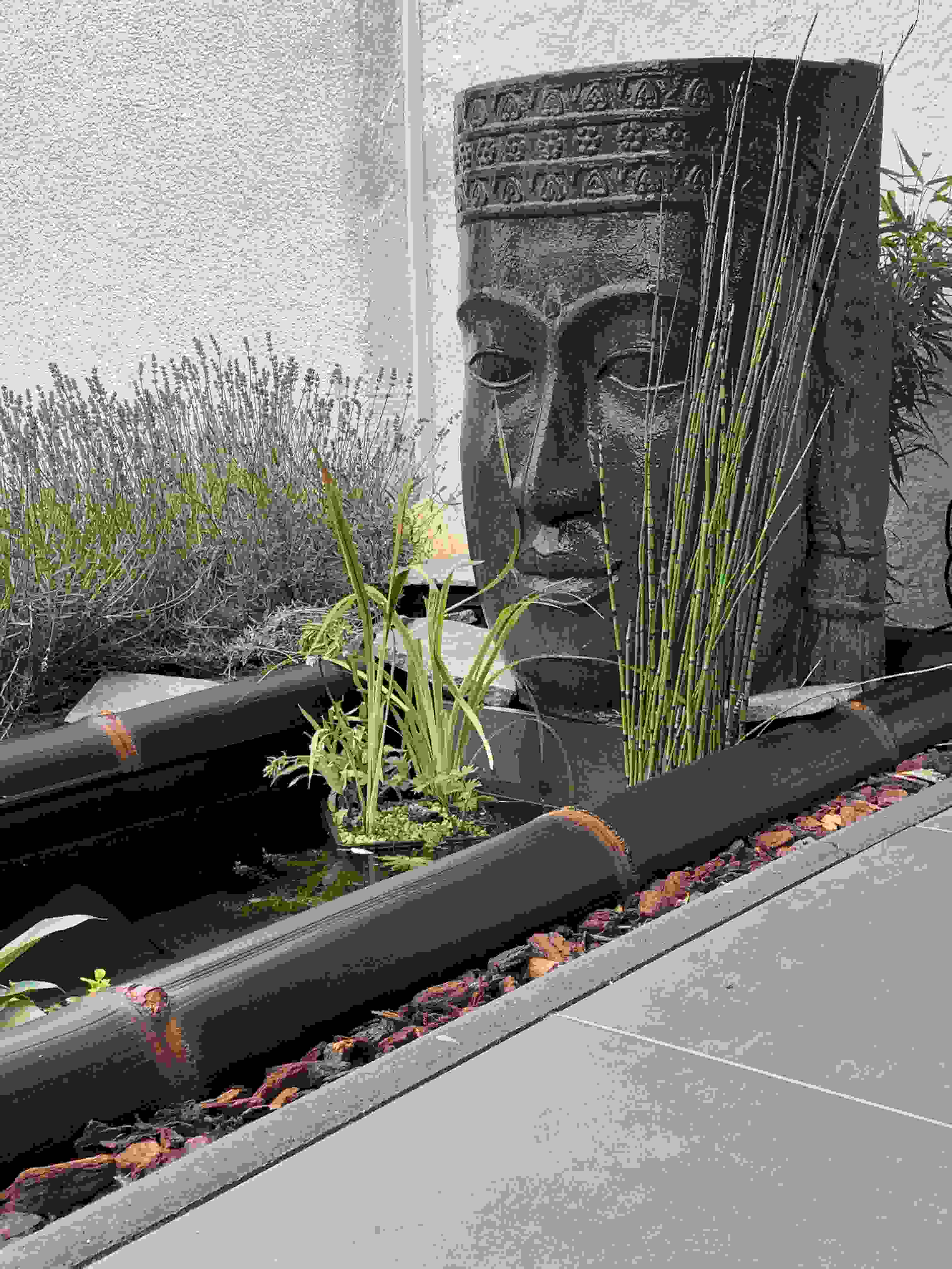 Buddha-Kopf mit dunklen Bambusrohren Wulung von CONBAM