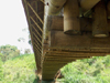 Guadua Bambusbrücke