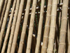 Guadua Bambusrohre