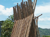 Guadua Bambustrocknung