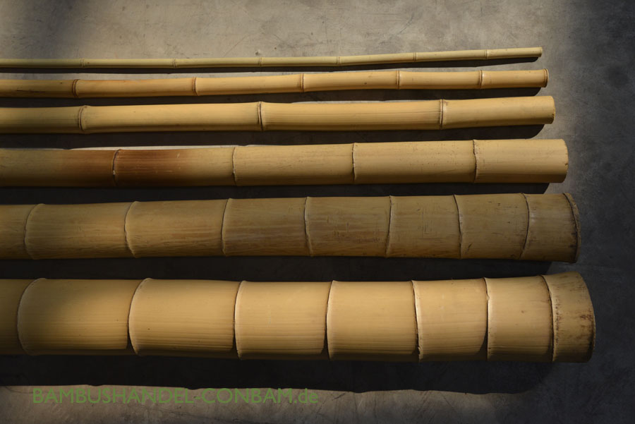 30-40 mm Bambusrohr Bambusstange Bambushalm Bambus Bambusrohre 5 x 3-4 x 2 m 