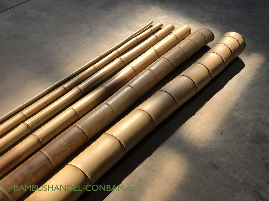 30-40 mm Bambusrohr Bambusstange Bambushalm Bambus Bambusrohre 5 x 3-4 x 2 m 