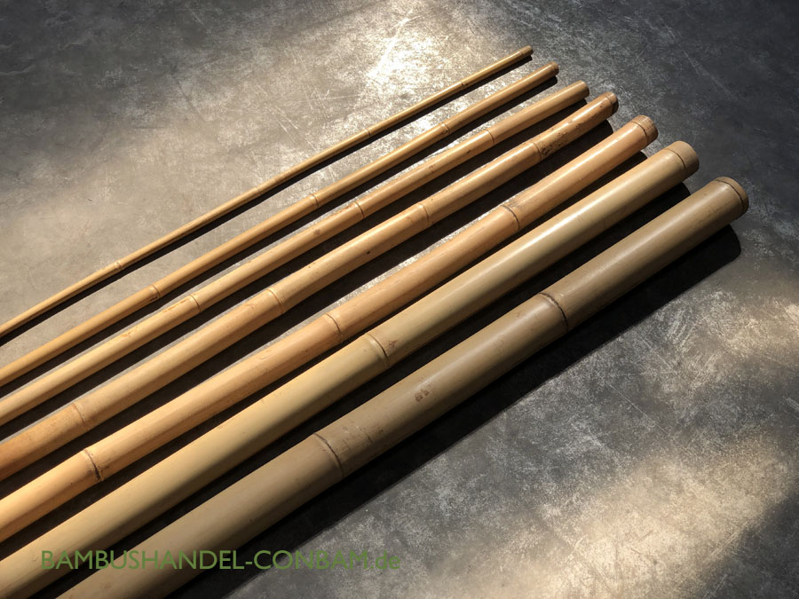 3,5 bis 4cm Tonkin Bambusrohr 200cm natur Durch Rohr aus Bambus Bamboo Pole 